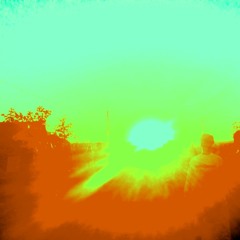 Hitting The Tree Tops