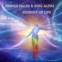 Joshua Hales & King Alpha - Journey of Life dub plate