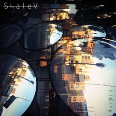 Hiding - Shalev Guli