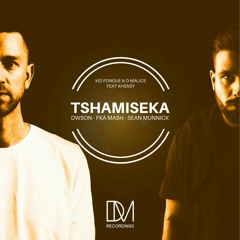 Tshamiseka (Fka Mash Re-Glitch)