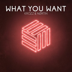 Krozz & NØRTIN - What You Want