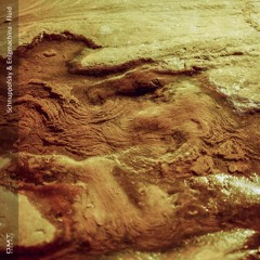 DMTC259 - Schnuppofsky & Enigmachina - Fluid