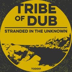 Stunna - Roots [Tribe Of Dub 001] clip *OUT NOW*