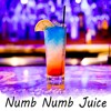 Numb Numb Juice Mp3