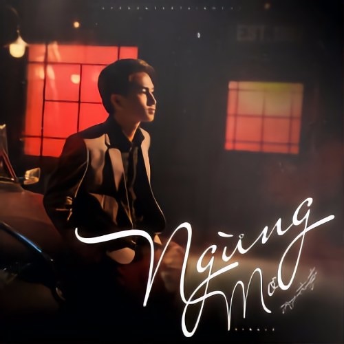 Ngừng Mơ - Nguyễn Trọng Tài