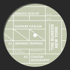 Gunnar Haslam "Seasick Acid" EP(The Bunker New York BK-038) - CLIPS