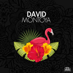 Episode 282 David Montoya