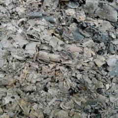 "La cenere e il giardino - omaggio a Danilo Kiš" for 16 strings (2018)