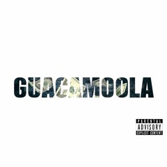 Jaq Moon x Guacamoola