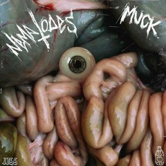 Nematodes - Fever