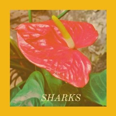 Sharks - Lauren Rocket (Tallbird Remix)