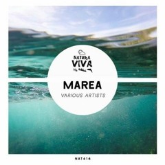 Maxi Vega - Sismo (origimal Mix)