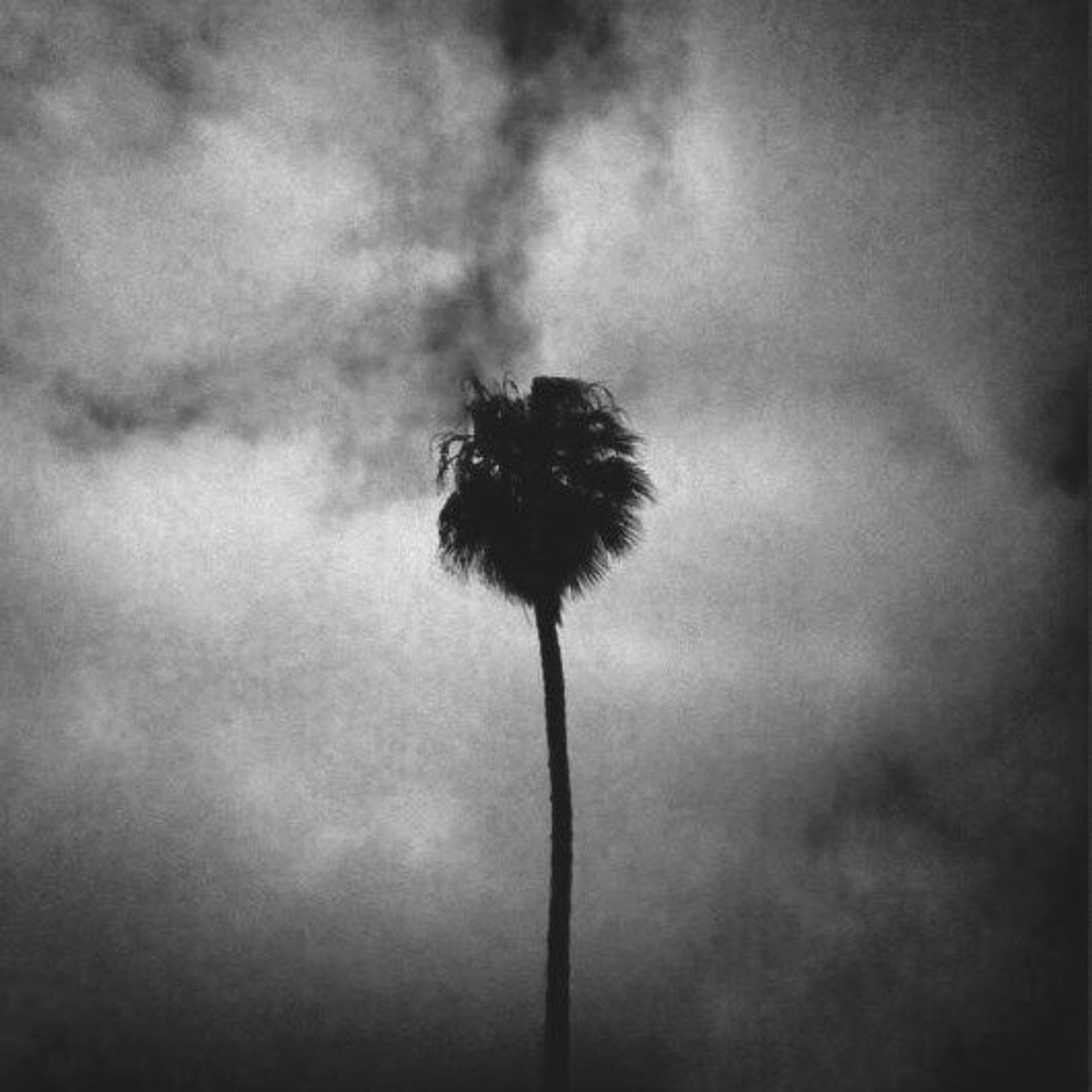 Vlimmer - Zwieteil episode artwork