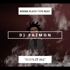 02. Burn It All (prod. DJ Paimon) (Kodak Black Type Beat)
