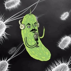 #7: Up On Ferment Mountain (with Sandor Katz)