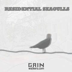 Residential Seagulls - Demo Audio