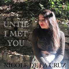 Until I Met You