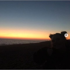 i love you - Billie Eilish