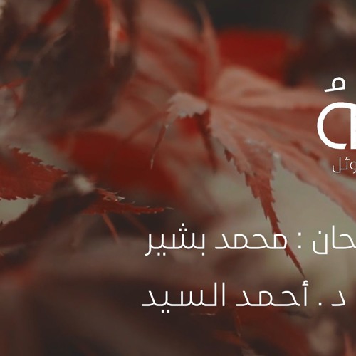 رباه أنت الموئل - محمد بشير | Rabbahu - Mohammad Bashir