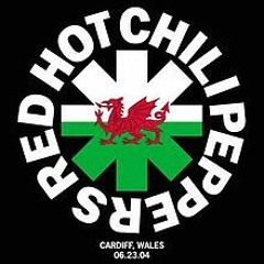 Red Hot Chili Peppers - By The Way - Cardiff, Wales Guitar Cover