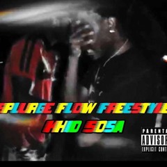 Splurge Flow Freestyle