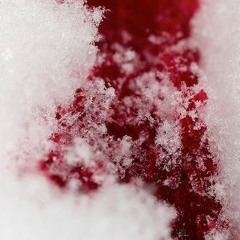 Red Snow