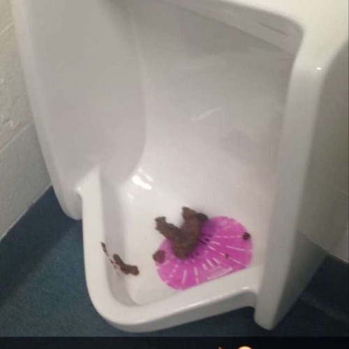 QT Intro (Prod. L¥FE)