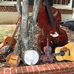 Bluegrass Music