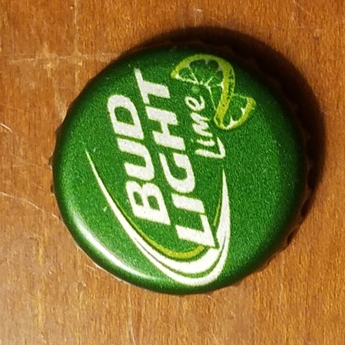 Beer Never Broke My Heart by Luke combs(Cover by Brock Jones)