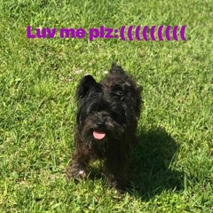 C4nN07L1v3n0M0 fr33styl3 (Prod.Yasuu)