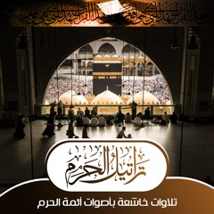 صلاح باعثمان
