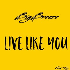 BigBreeze-Live Like You.ProdTom