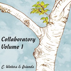 Collaboratory Volume I