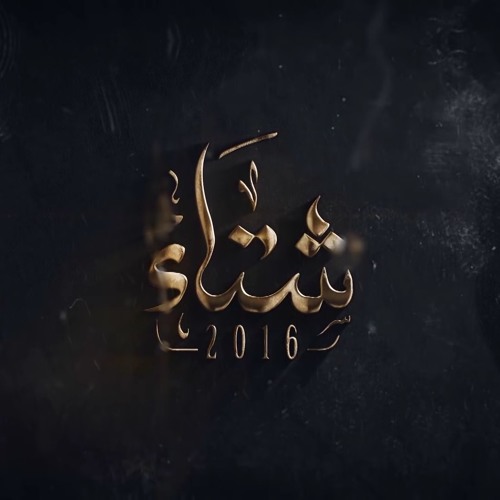 رشا رزق ماشين في طريق من شتاء 2016