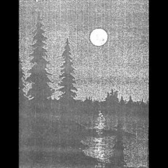 Floral Of Forever - The Mysteries Of It's Great Floras