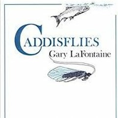 Guide Chronicles Show #33