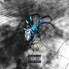 CRAIG JENNY (PROD. IRIVRTE)