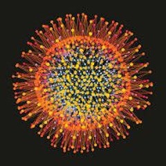 Virus