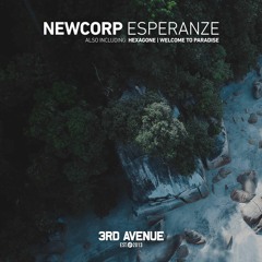 Newcorp - Hexagone [3rd Avenue]