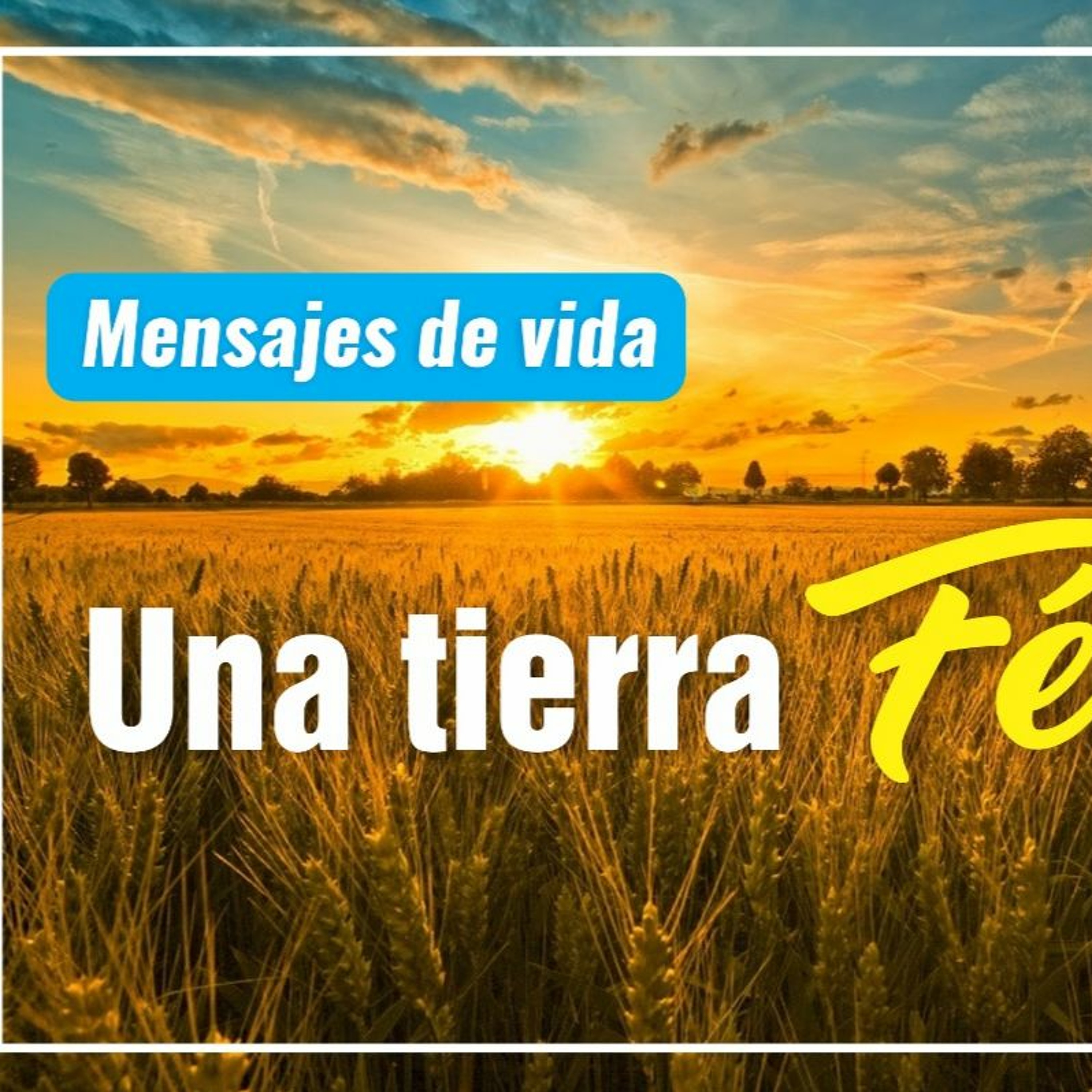 Mensajes de Vida