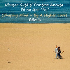 Nicusor Guta, Printesa Ancuta - Sa Nu Spui Nu (Shaping Mind - By A Higher Love) REMIX