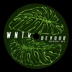 Devour (Original Mix)