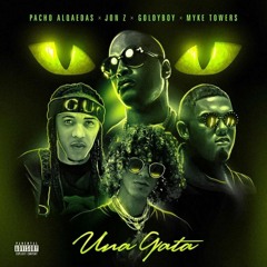 Pacho x Jon Z x Goldy Boy x Myke Towers - Yo Tengo Una Gata