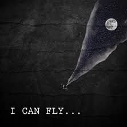I can fly by Xcho