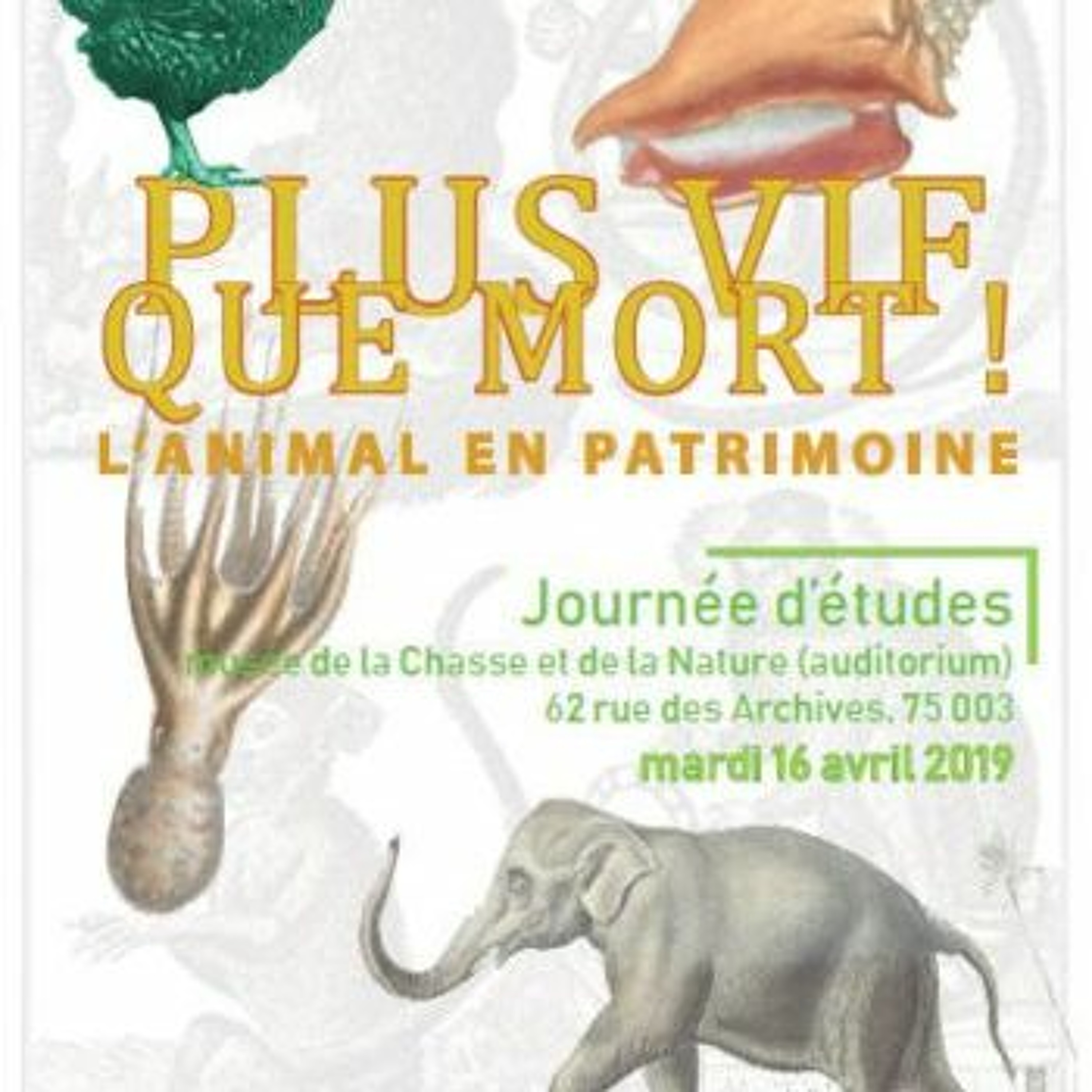 institut national du patrimoine
