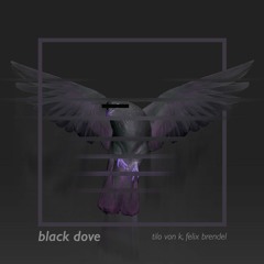 Felix Brendel, Tilo Von K - Black Dove