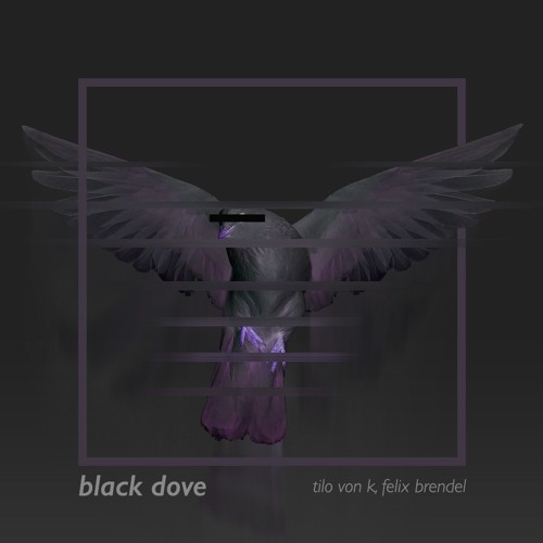 Felix Brendel, Tilo Von K - Black Dove