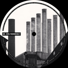 [BR-001] V/A - Kombinat - Mix