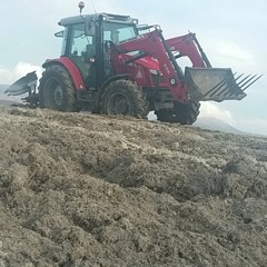 flat oot like a badger on a bypass