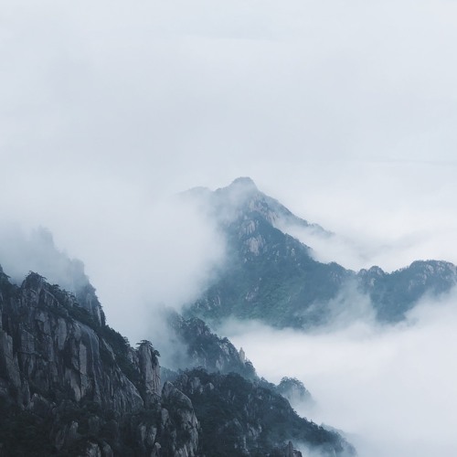 ovmegacvrse // i will always...